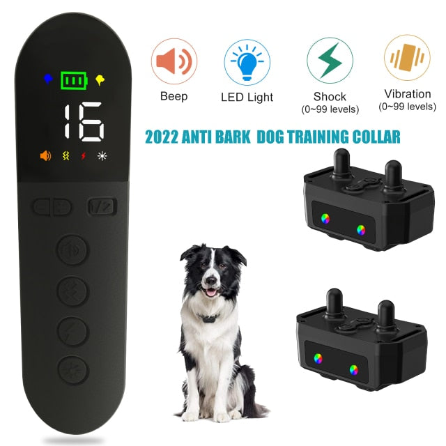 Premium 800M Rechargeable Dog Training Collar