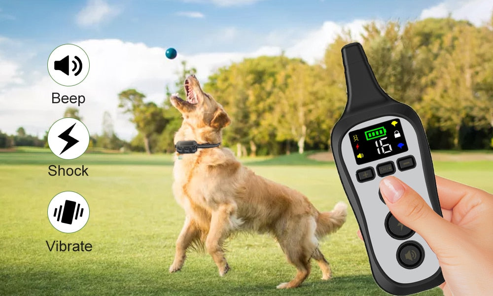 Premium 800M Voice Mode Dog Training Collar