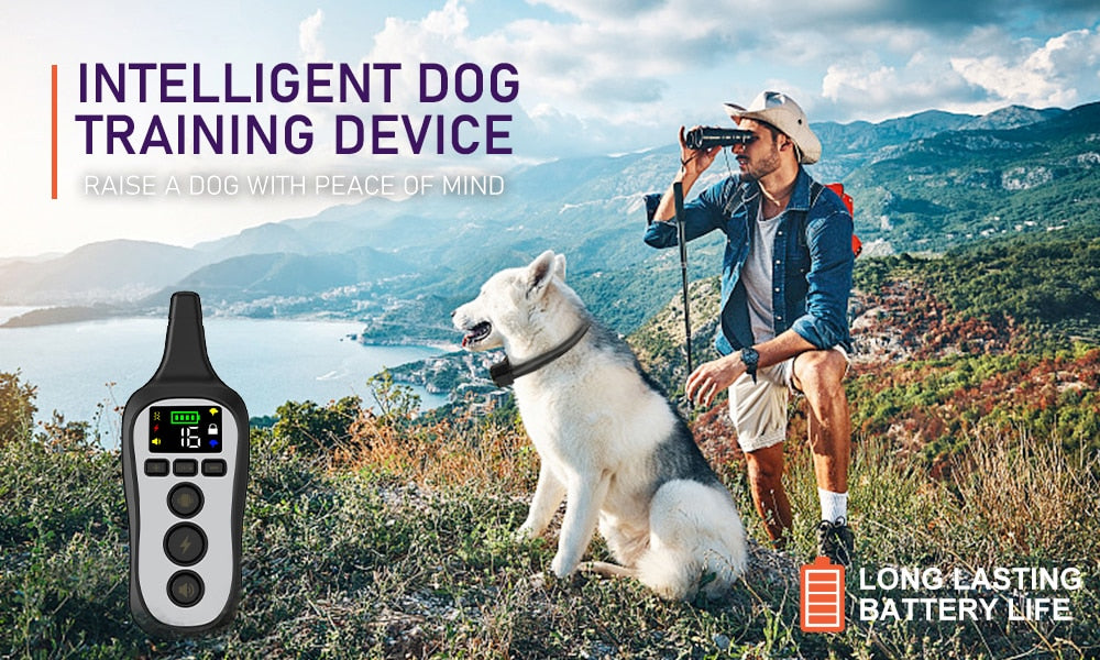 Premium 800M Voice Mode Dog Training Collar