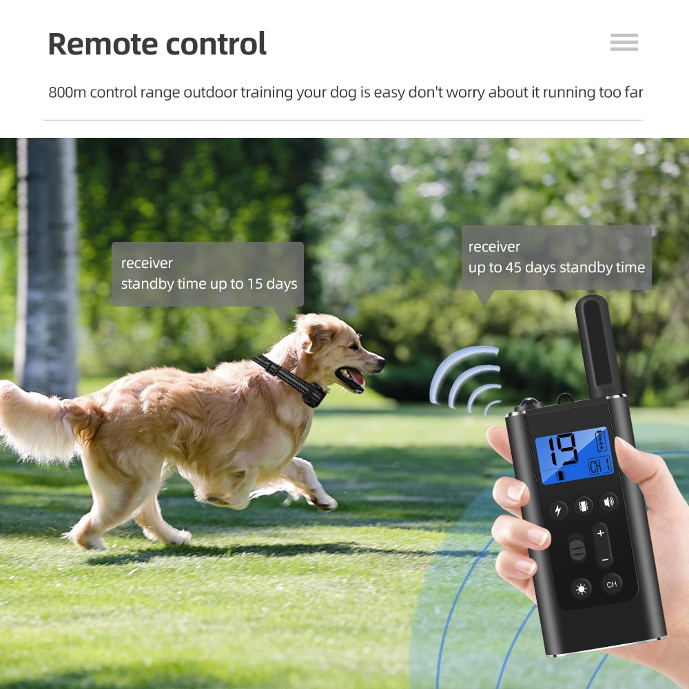 800m Remote Control Dog Training Collars