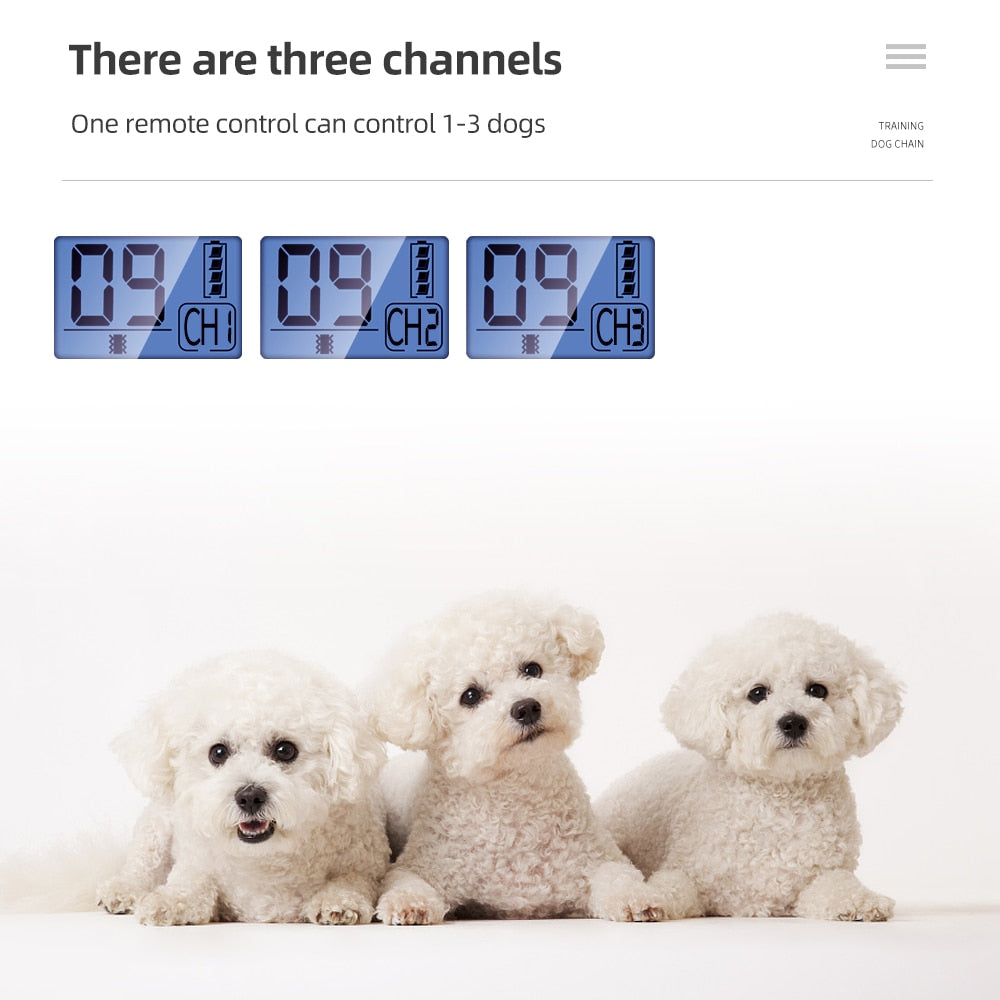 800m Remote Control Dog Training Collars