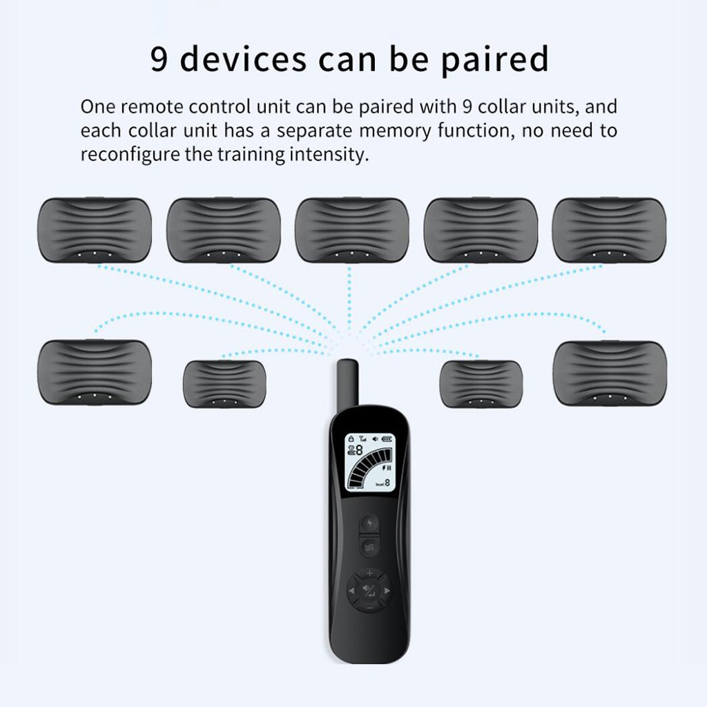 300m Rechargeable Dog Training Collar