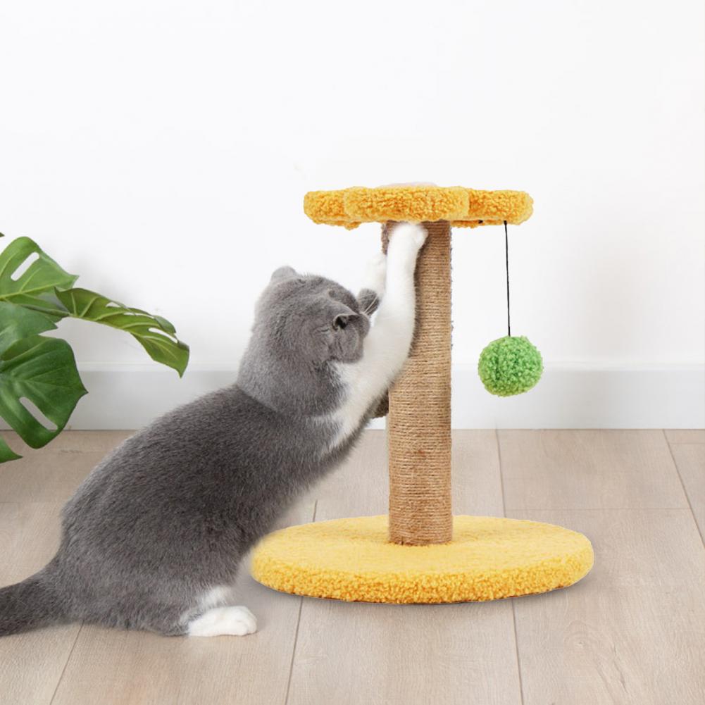 Cute Cats Scratching Post
