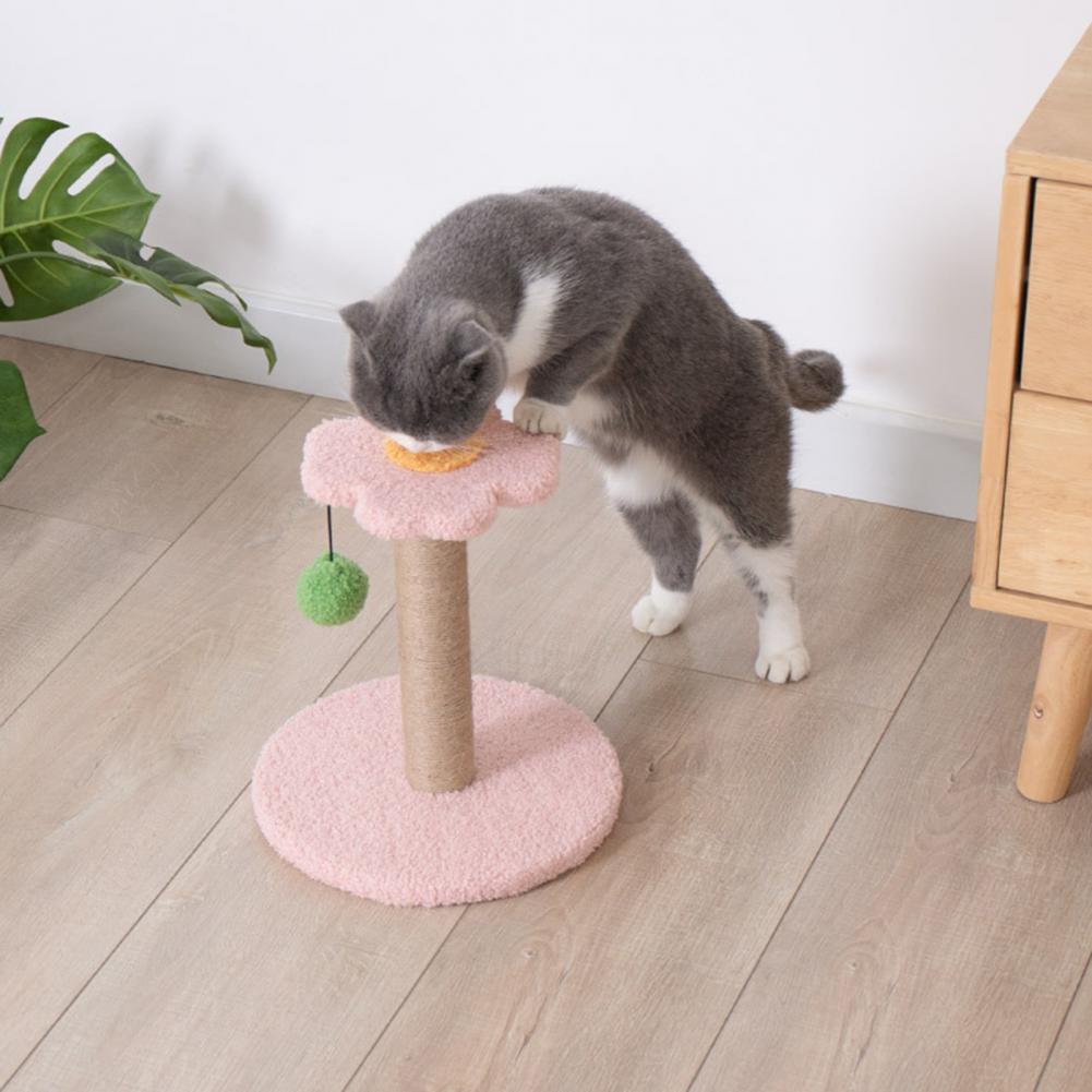 Cute Cats Scratching Post