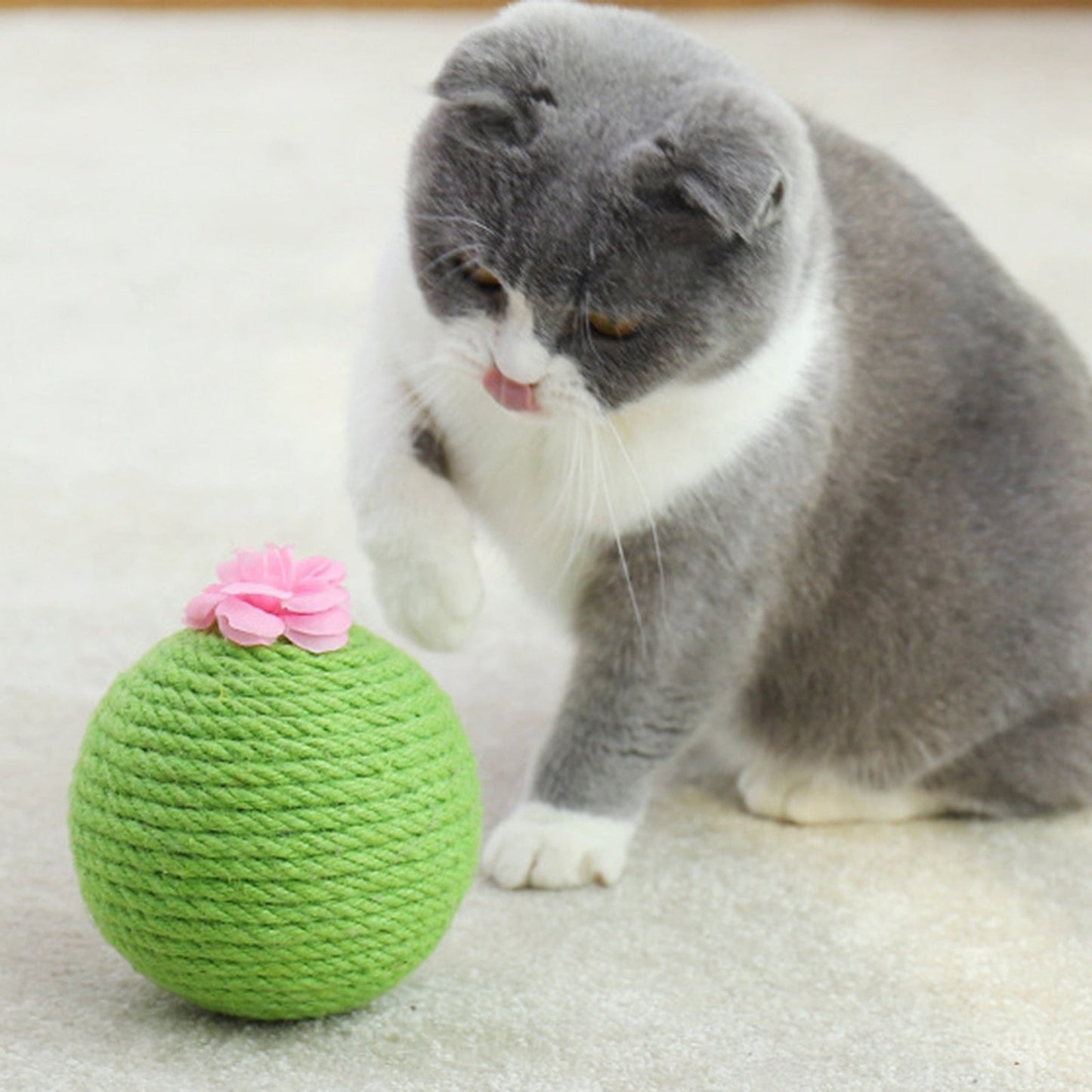 Cat Cactus Ball Tumbler Scratcher
