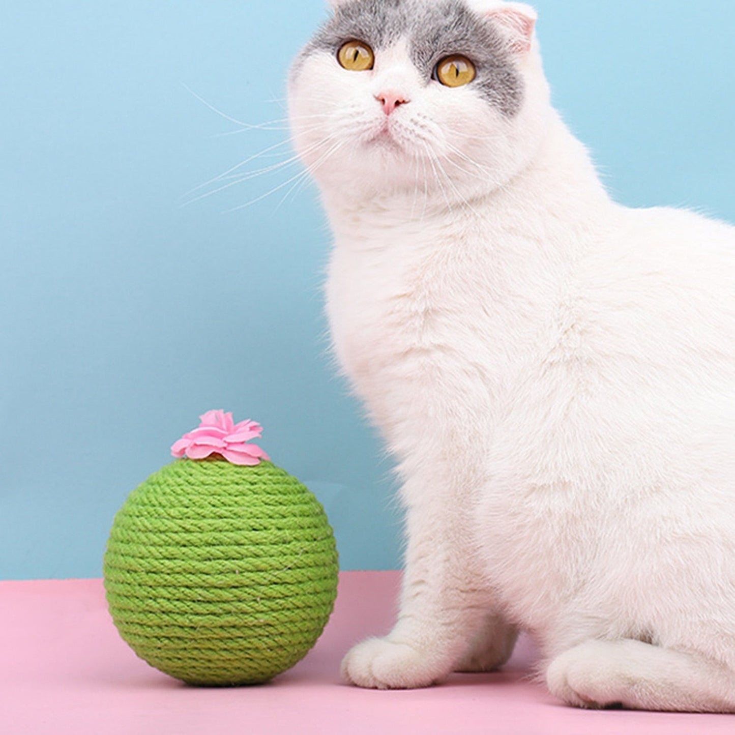 Cat Cactus Ball Tumbler Scratcher
