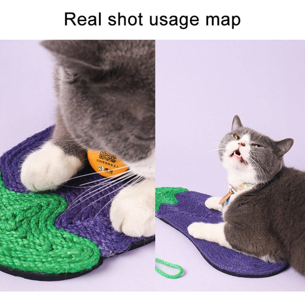 Eggplant Wear Resistant Cat Scratcher