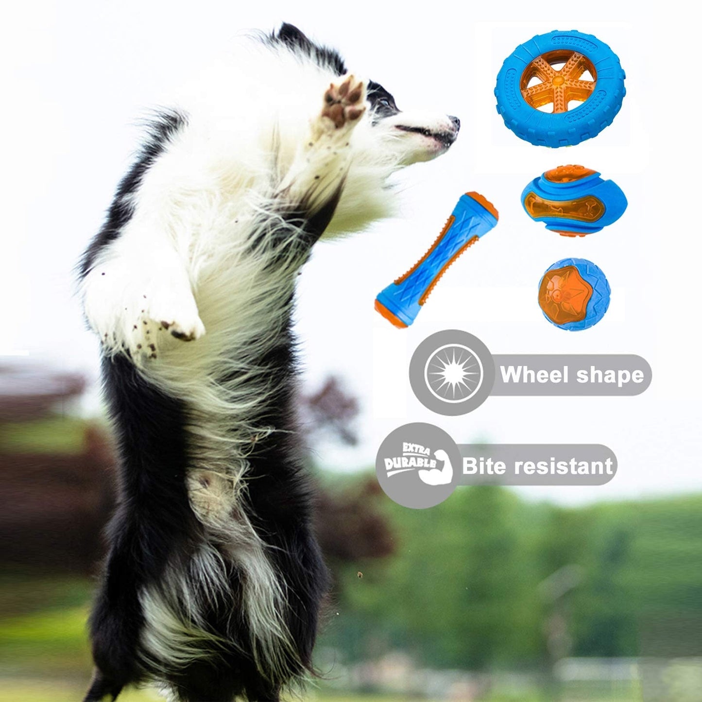 4PCS Dog Squeaky Chew Toys