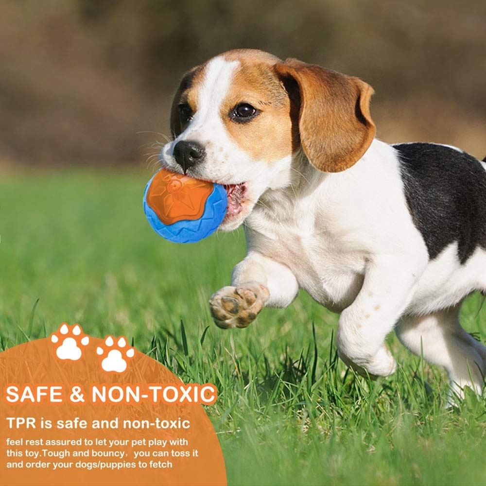 4PCS Dog Squeaky Chew Toys