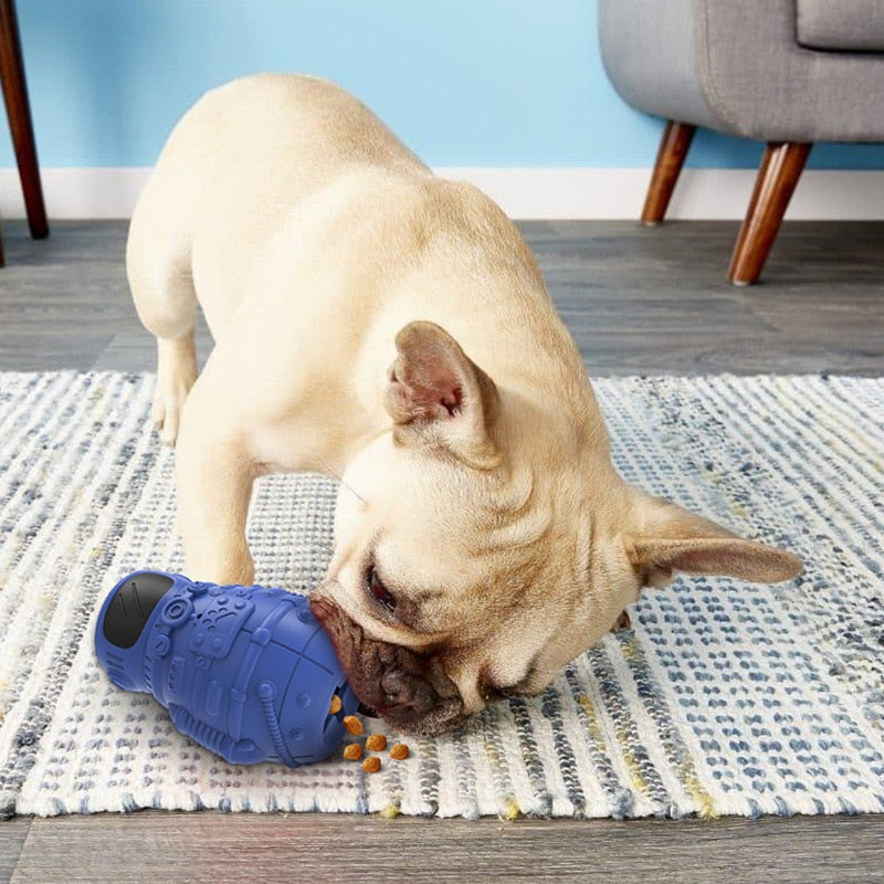 Astronaut Fun Molar Dog Toys