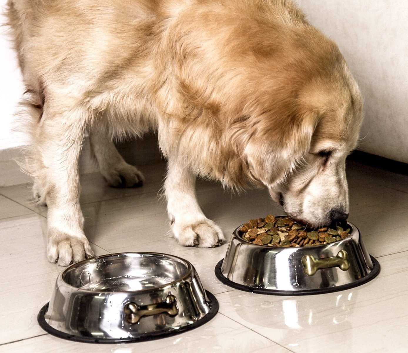 Stainless Steel Anti-Skid Dog Bowls