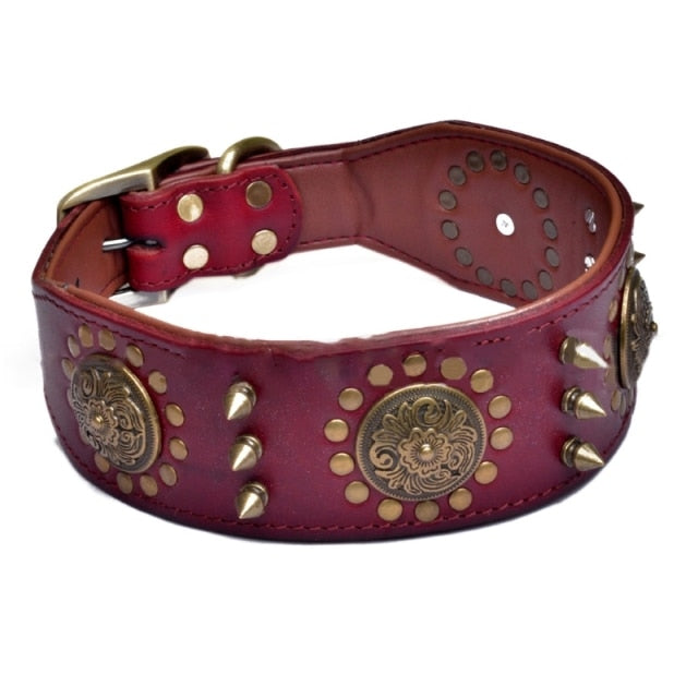 Genuine Leather Spiked Studded Dog Collar