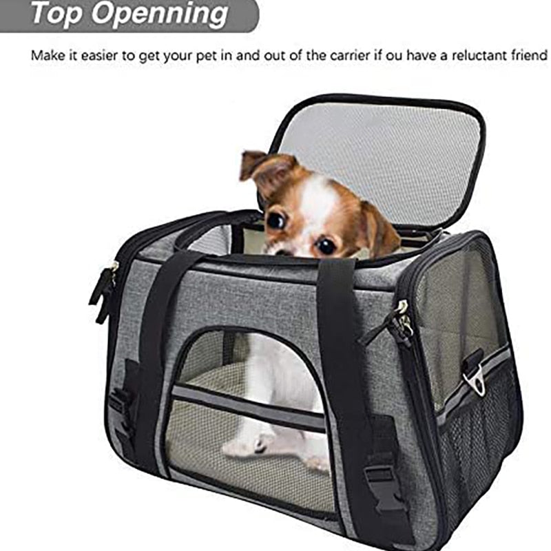 Reflective Dog Carrier With Safety Leash