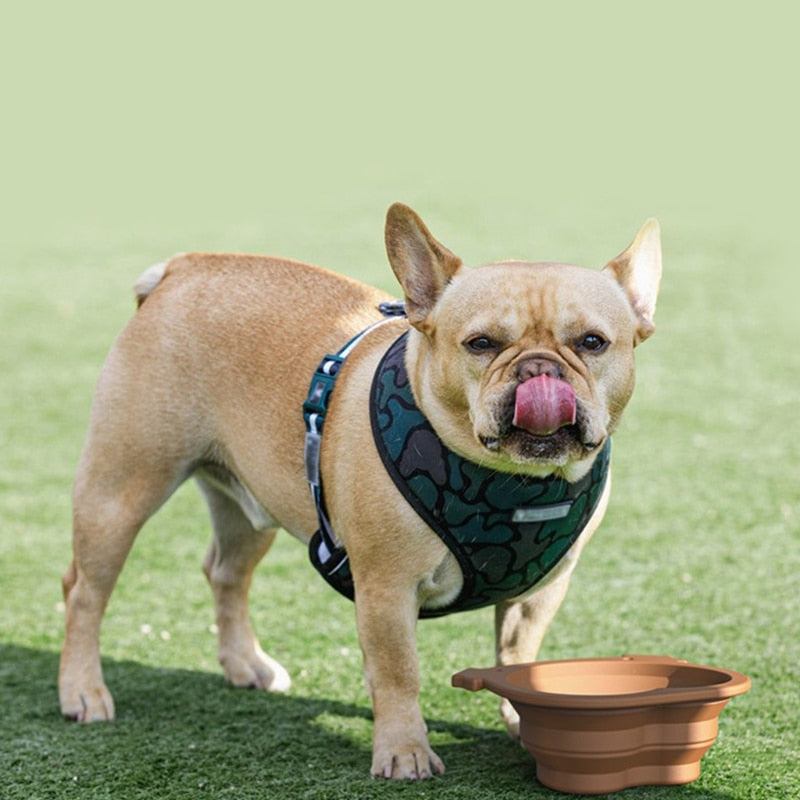 Foldable Silicone Travel Dog Bowl