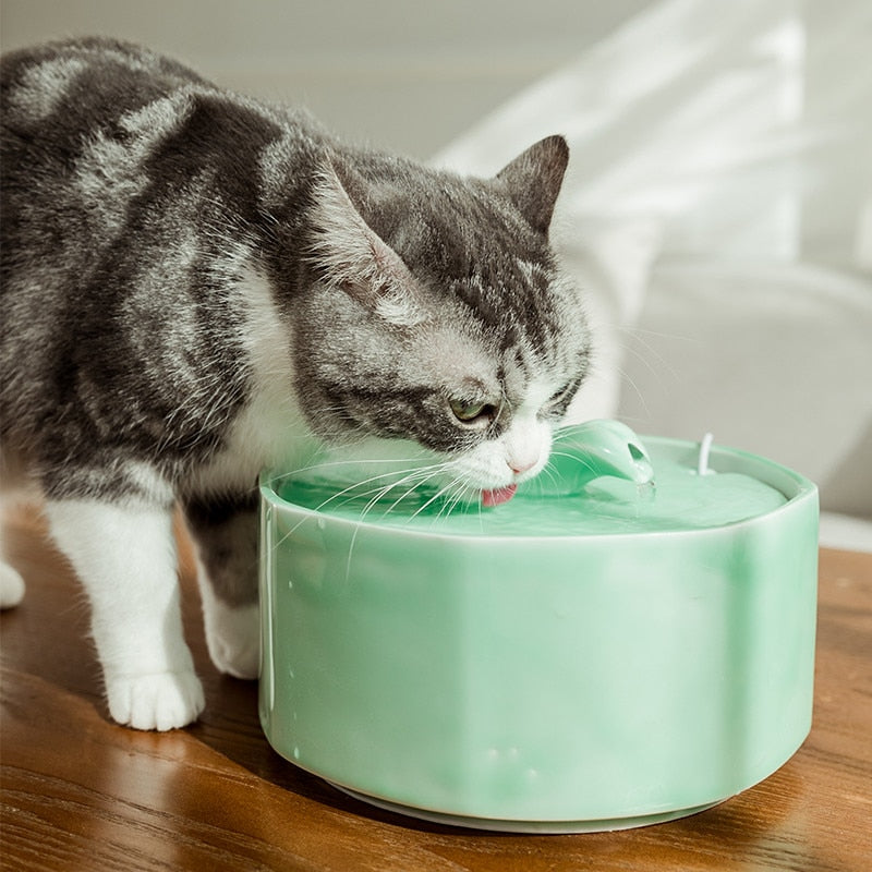 Green Flower Ceramic Pet Water Fountain