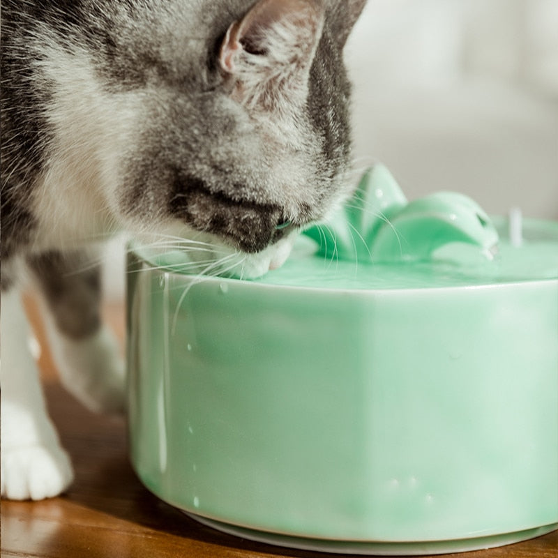 Green Flower Ceramic Pet Water Fountain