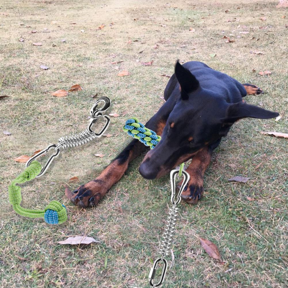 Stainless Steel Spring Pole Dog Toys