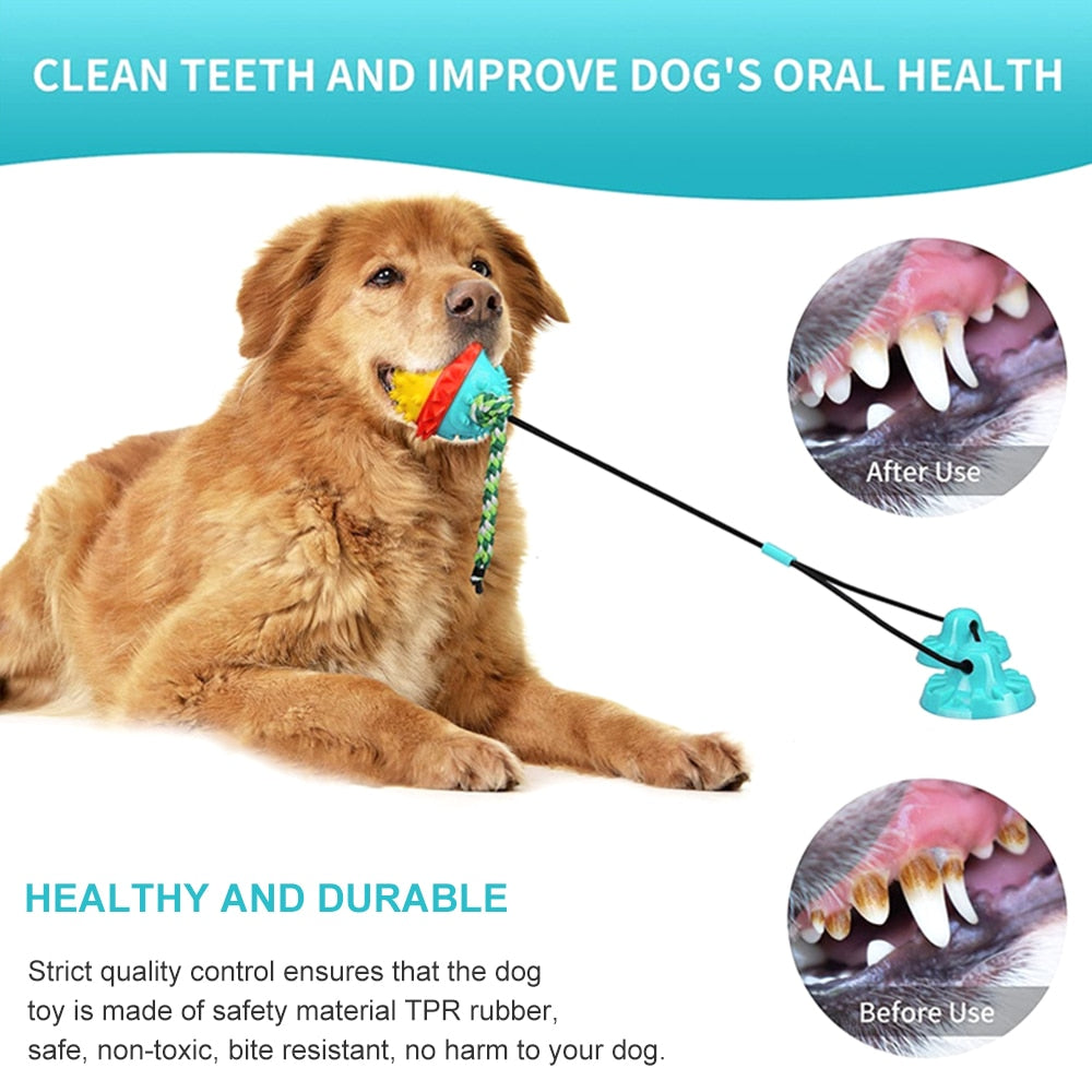 Tug Of War Dog Toy For Aggressive Chewers