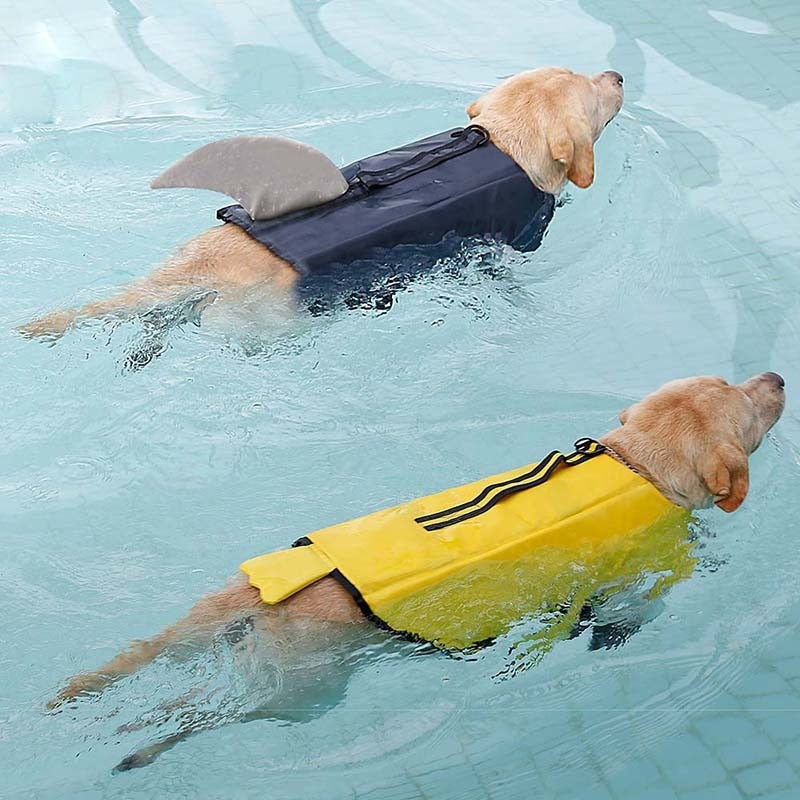 Summer Reflective Dog Life Vest
