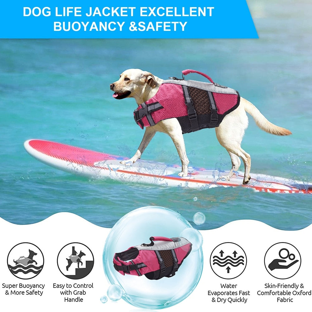 Summer Dog Life Jackets