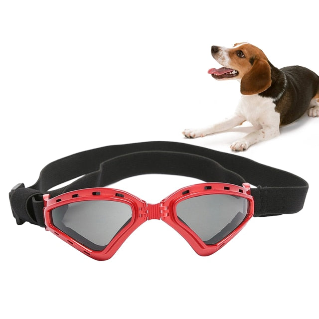 Fashion Dog Goggles