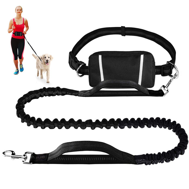 Premium Hands Free Dog Bungee Leash