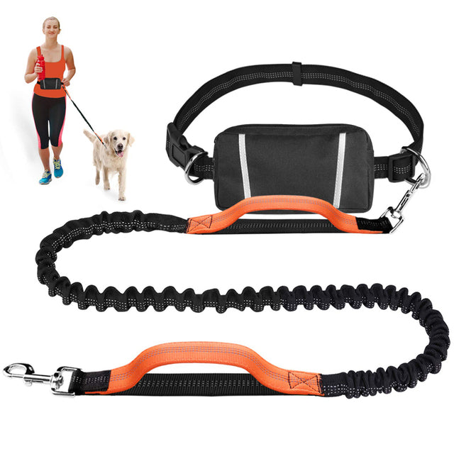 Premium Hands Free Dog Bungee Leash