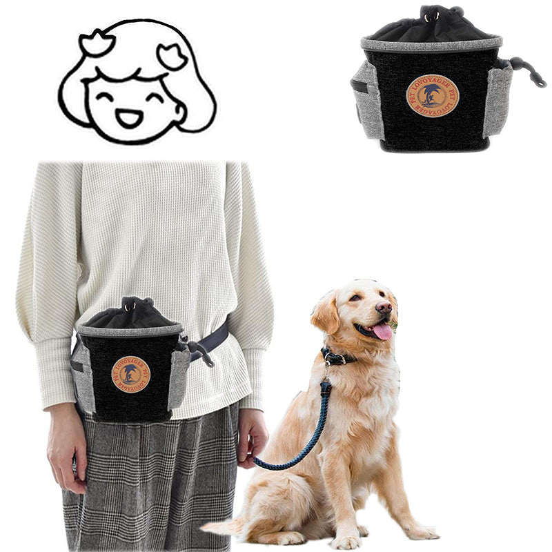Dog Training Waist Treat Pouch