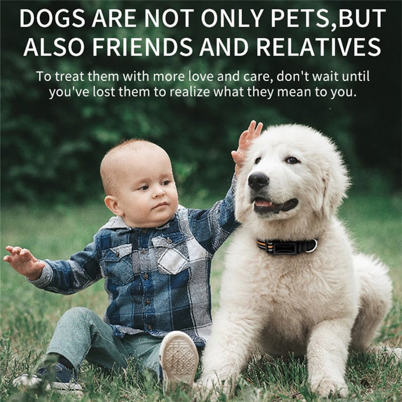 Pet Mini GPS Tracker With Collar