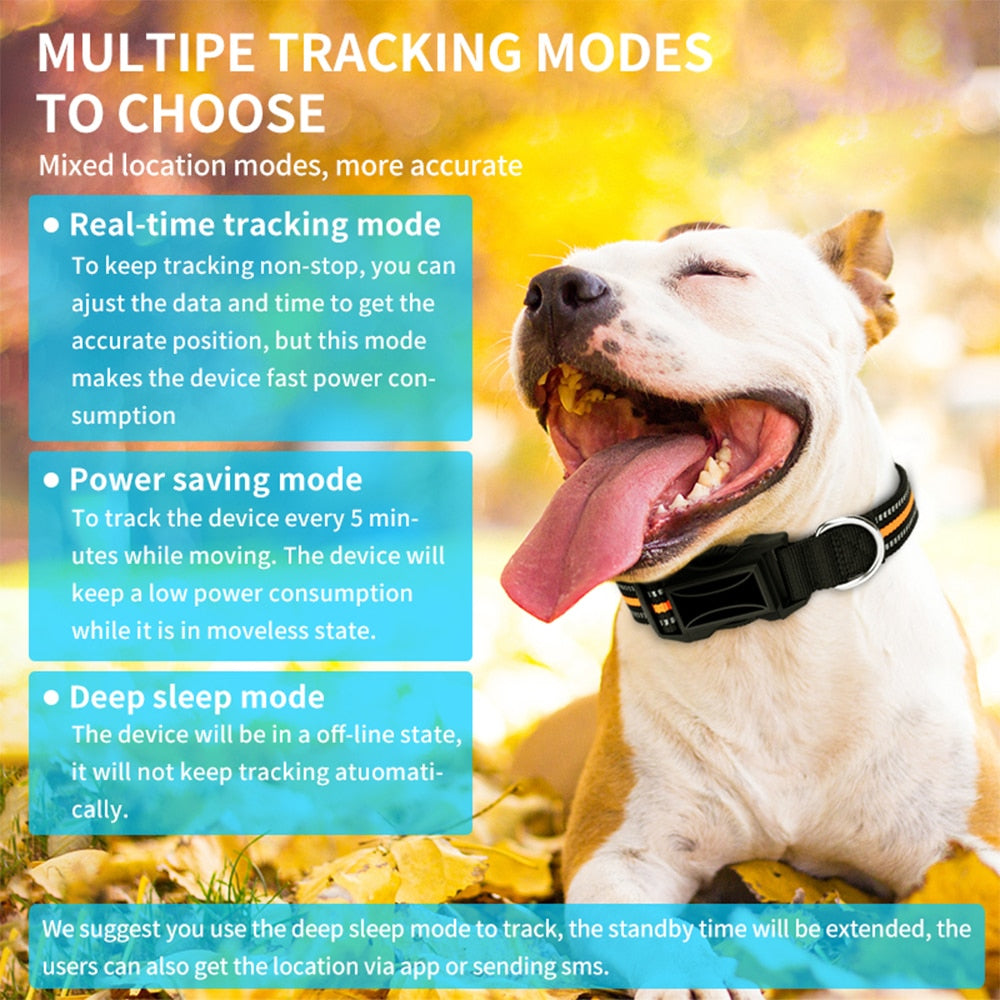 Pet Mini GPS Tracker With Collar
