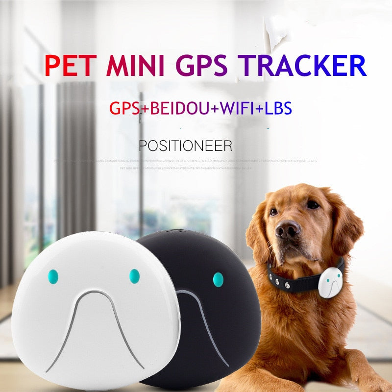 Anti Lost Dog GPS Tracker