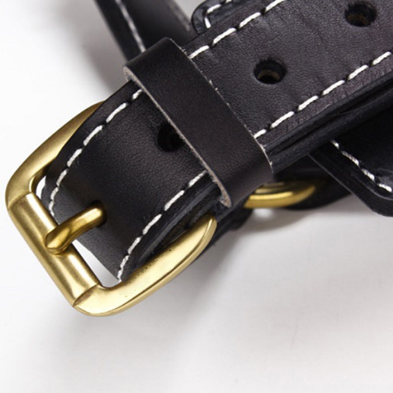 Luxury Dog Leather Chest Harness