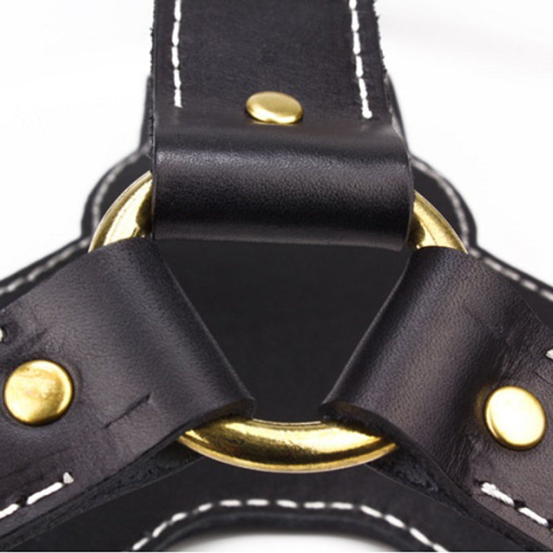 Luxury Dog Leather Chest Harness