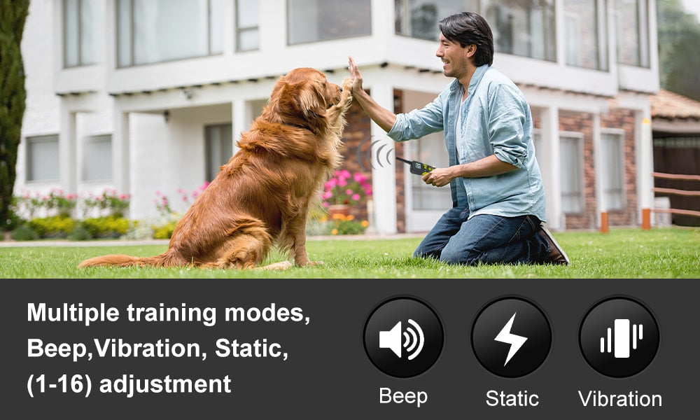 1000M Electric Dog Training Collar