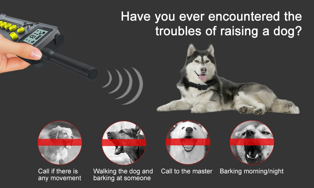 1000M Electric Dog Training Collar