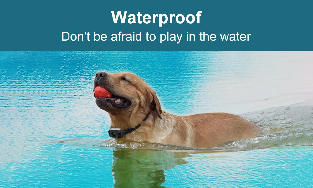 1000M Electric Dog Training Collar