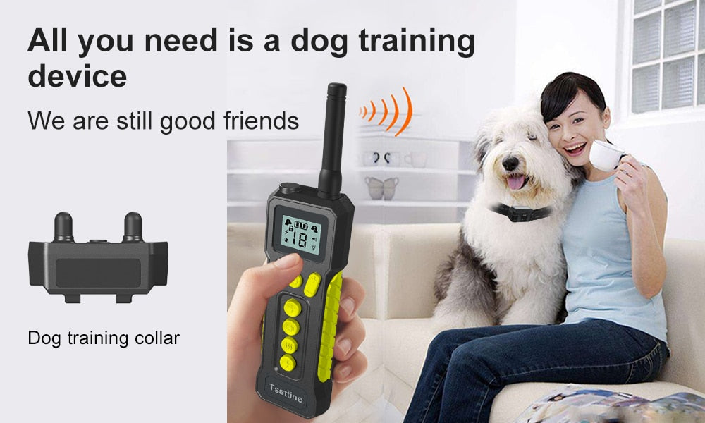 1000M Electric Dog Training Collar