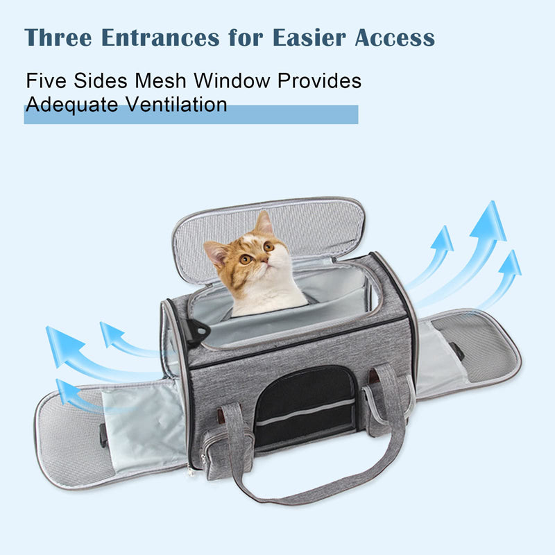 Anti Scratch Pet Carrier For Small Pets