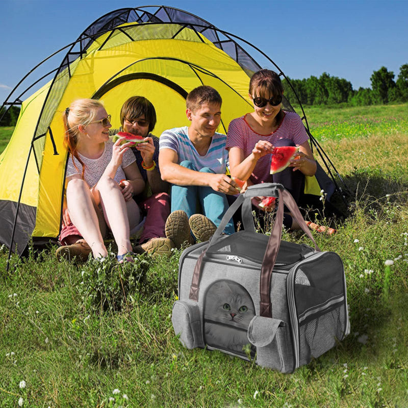 Anti Scratch Pet Carrier For Small Pets