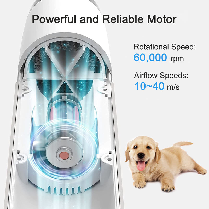 2 In 1 Pet Grooming Hair Dryer Slicker Brush