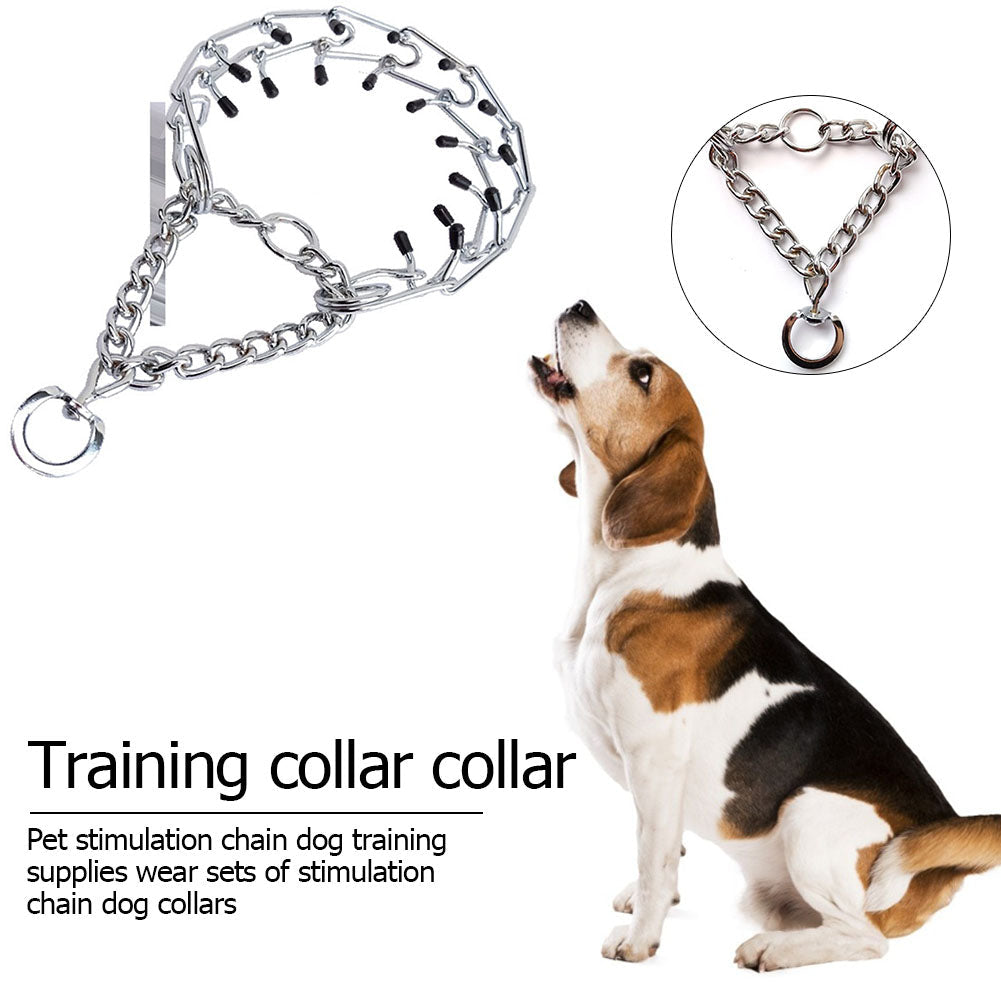Effective Prong Dog Training Collar