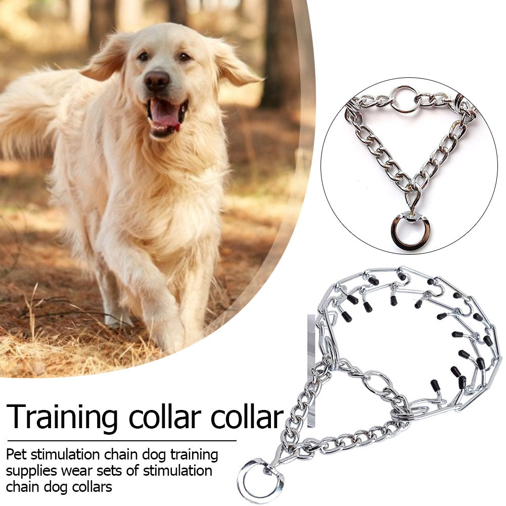 Effective Prong Dog Training Collar