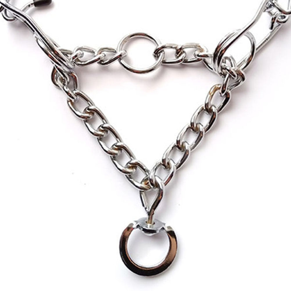 Effective Prong Dog Training Collar