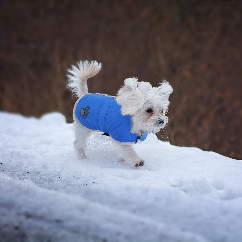 Reflective Reversible Winter Dog Clothes