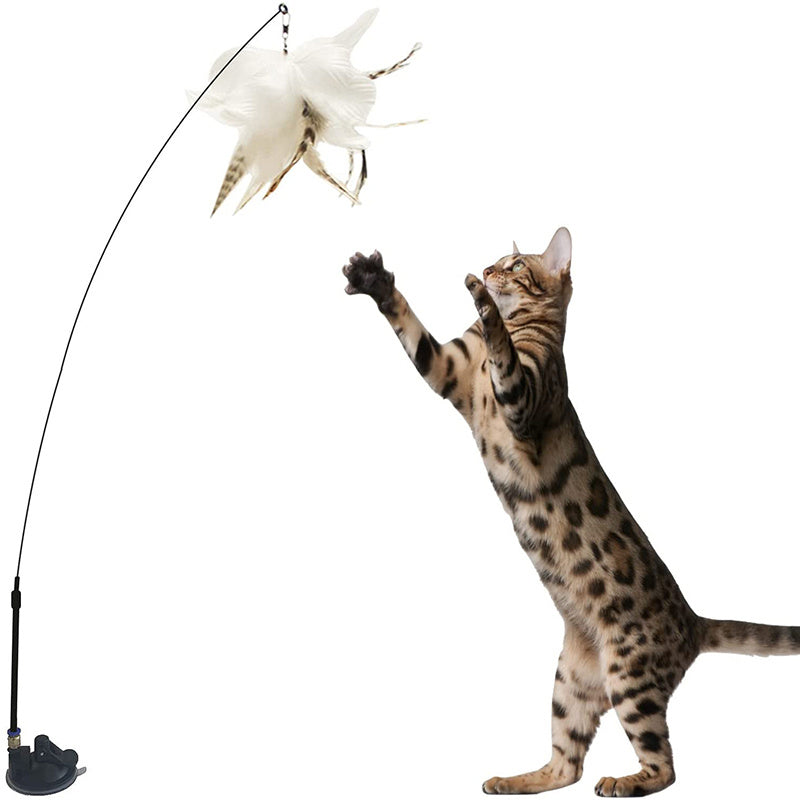 Suction Cup Natural Feather Cat Toys