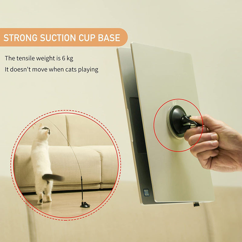 Suction Cup Natural Feather Cat Toys