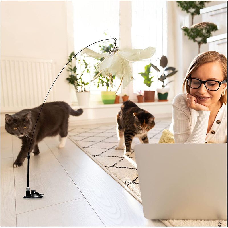 Suction Cup Natural Feather Cat Toys