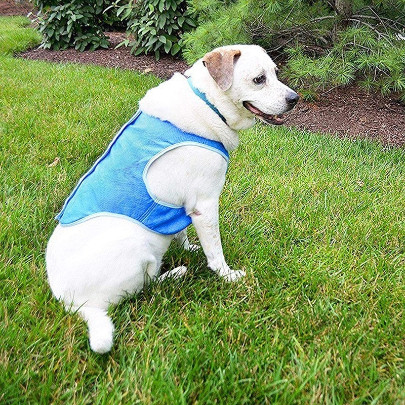 Lightweight Cooling Dog Vest