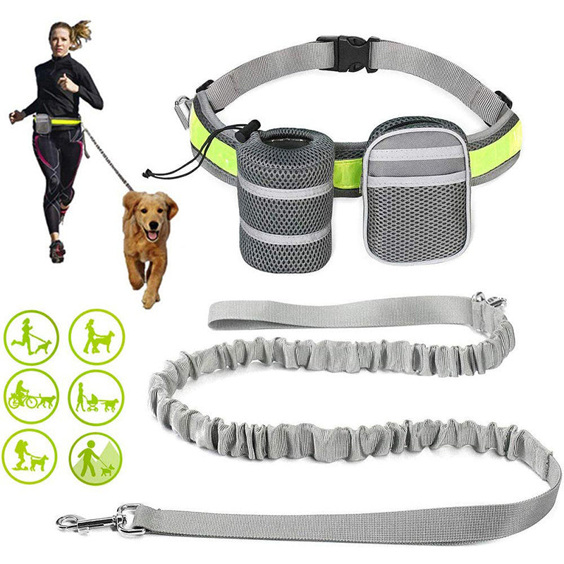 Handsfree 2 Storage Bags Dog Lead