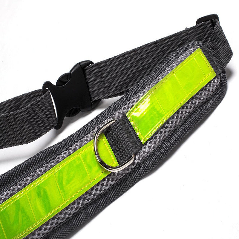 Handsfree 2 Storage Bags Dog Lead